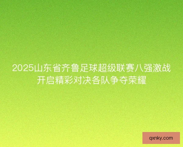 2025山东省齐鲁足球超级联赛八强激战开启精彩对决各队争夺荣耀